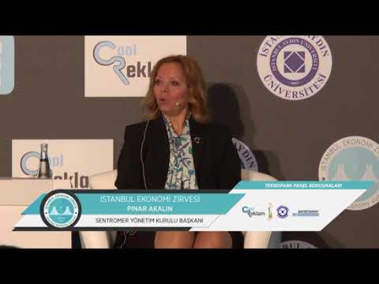 İstanbul Ekonomi Zirvesi Teknopark Paneli Pınar Akalın' ın Konuşması